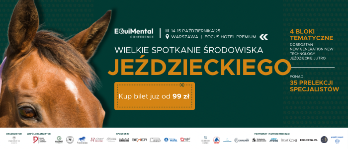 Baner 700x300px - 2.png